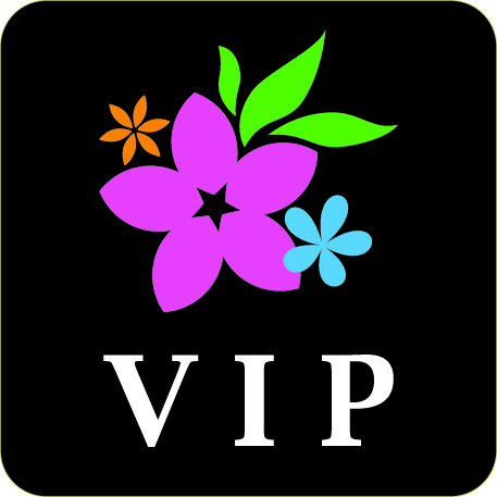 VIPルーム